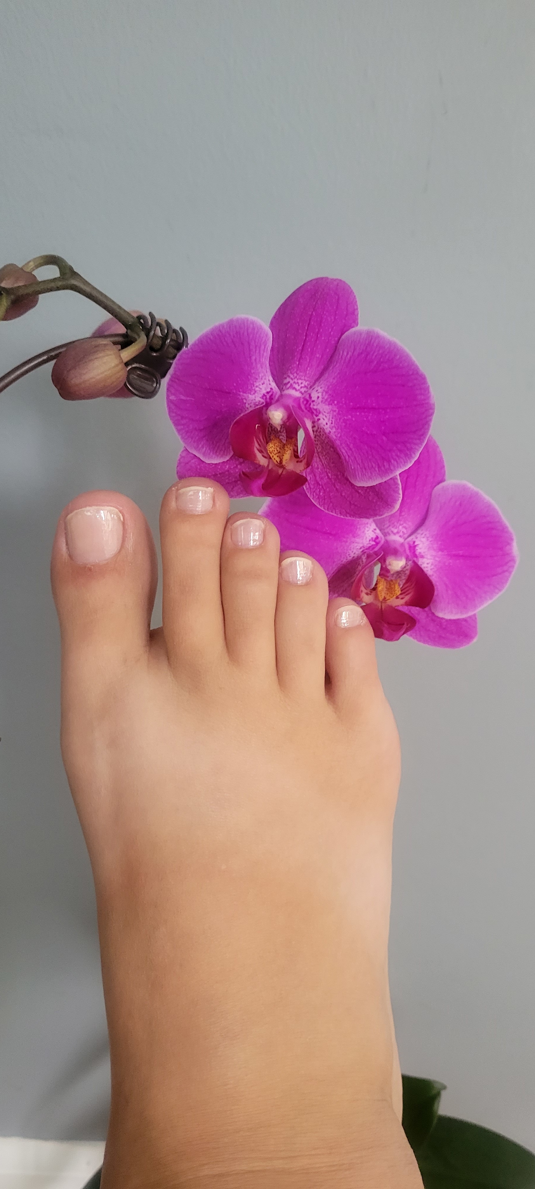 polish_perfect_feet profile