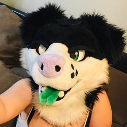 ZoePupperoniAD profile