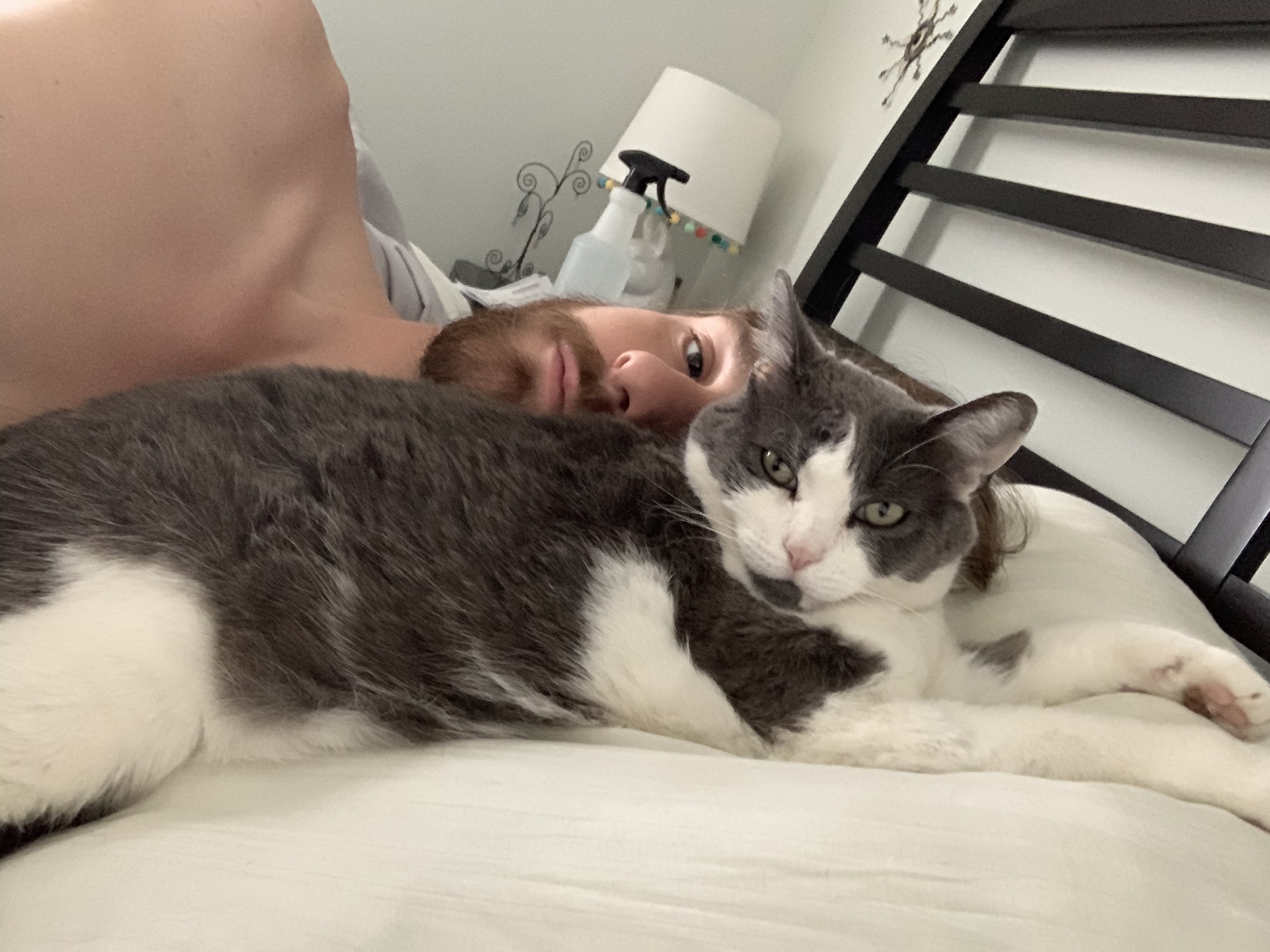 Cat Daddy thumbnail