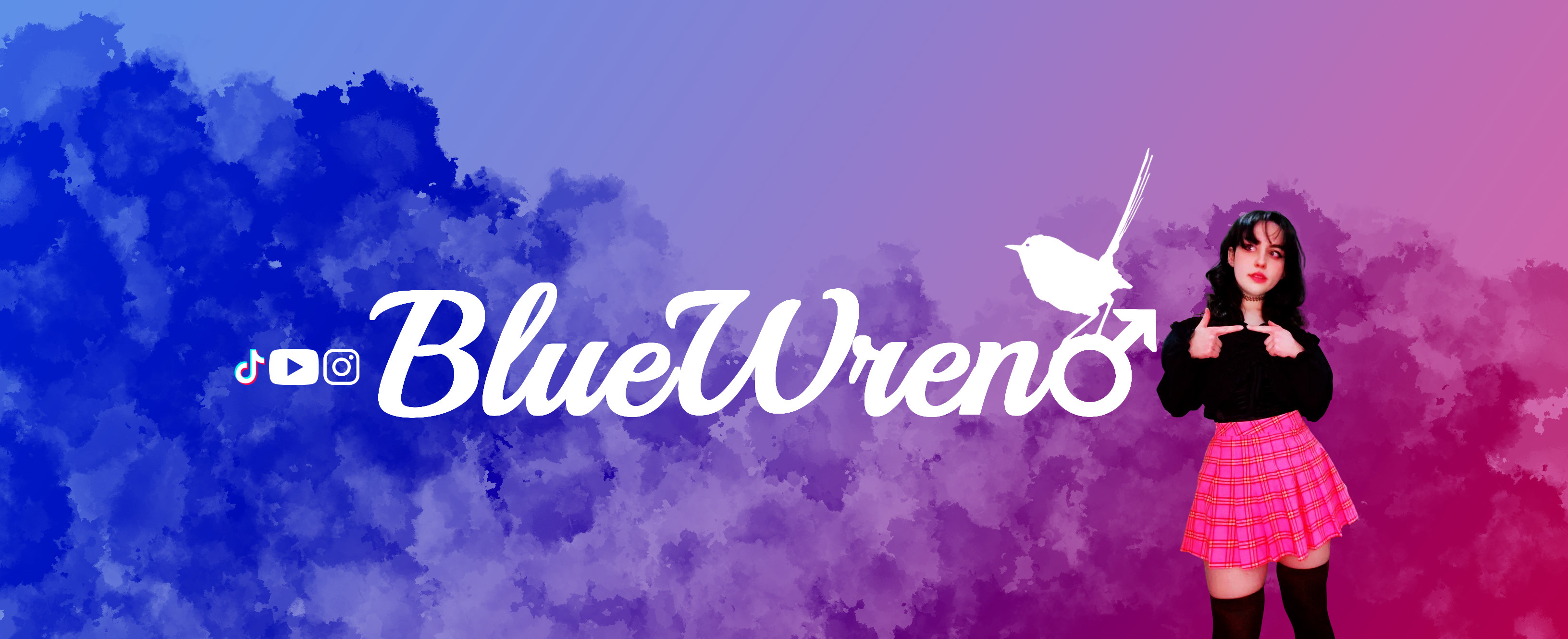 bluewren99 thumbnail