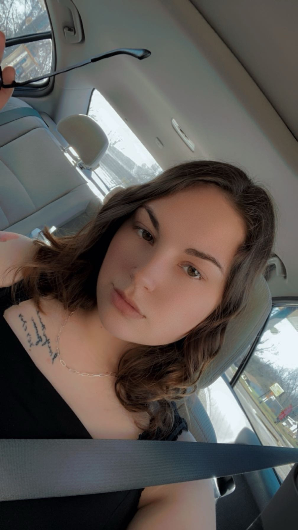 annebear19 profile