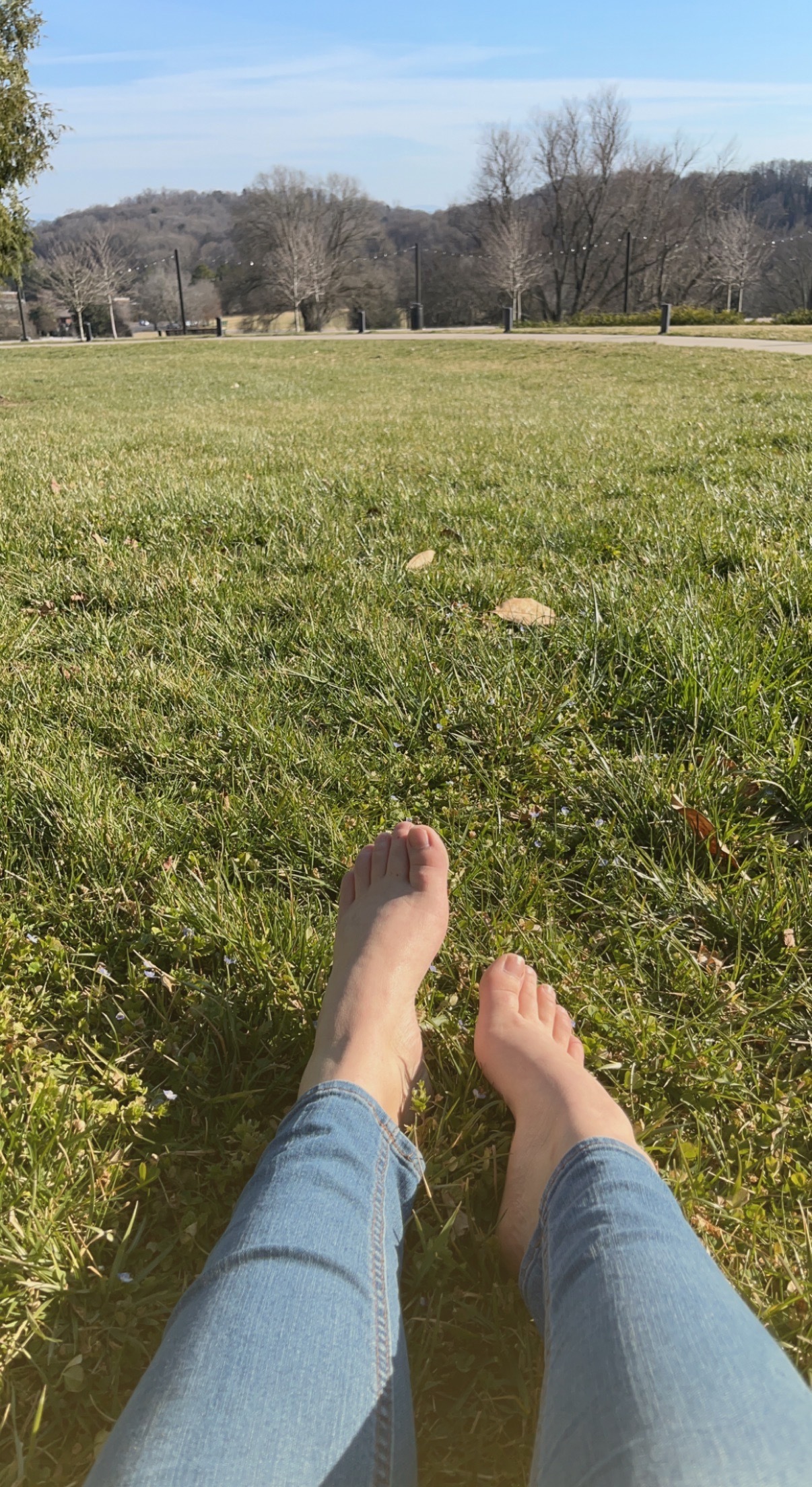 Barefoot Wonder profile