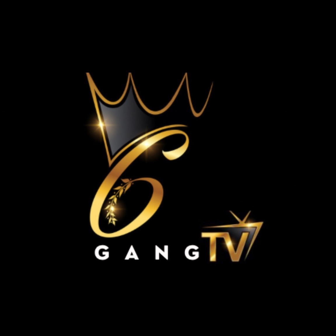 6 GANG TV 📺 profile