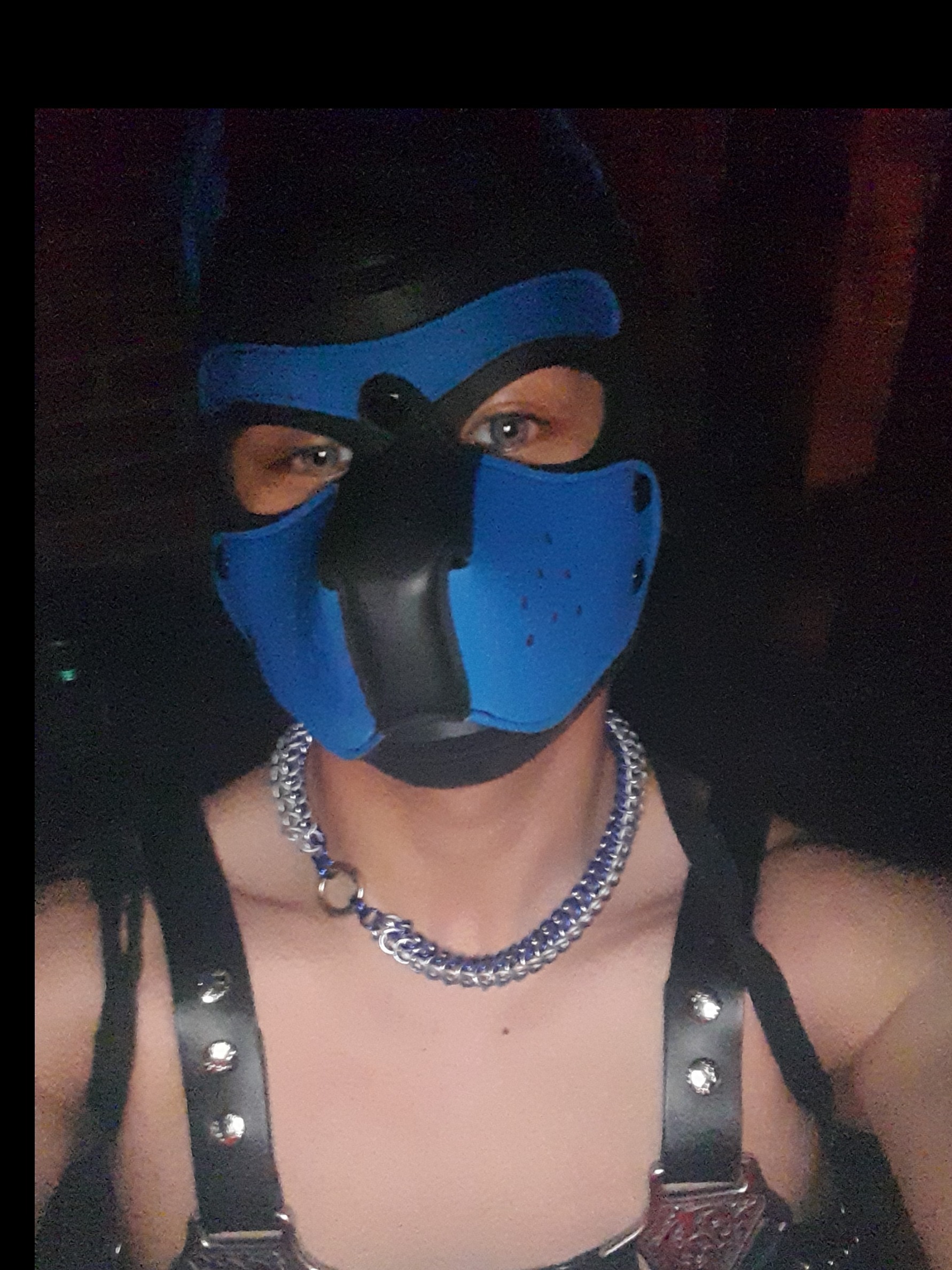 pupcoomaxxx profile