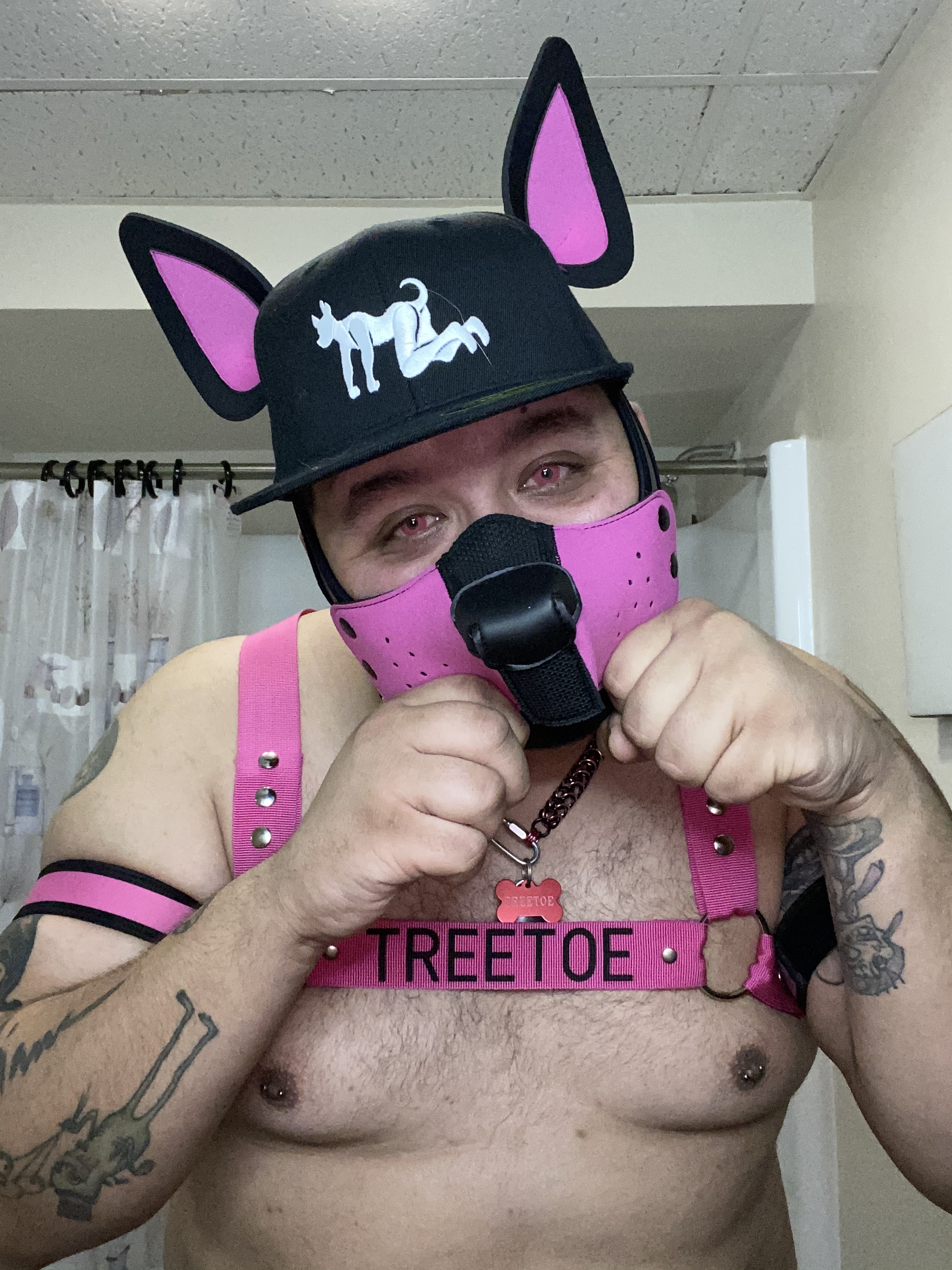 pup_treetoe profile