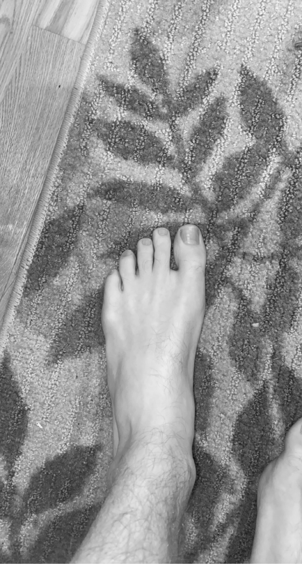 fancyfeet123456cover