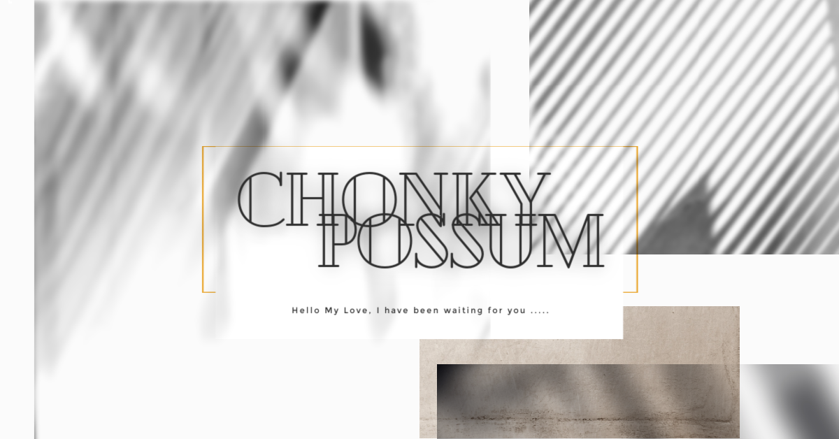 chonkypossum thumbnail