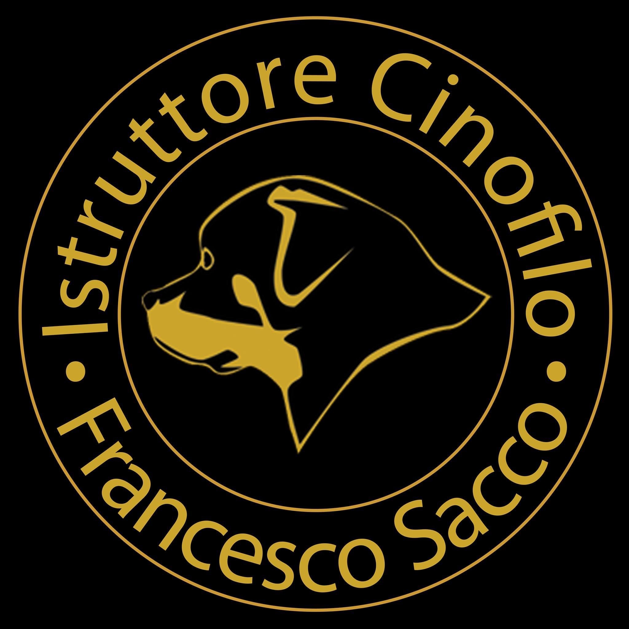 francescosaccodogtrainer profile