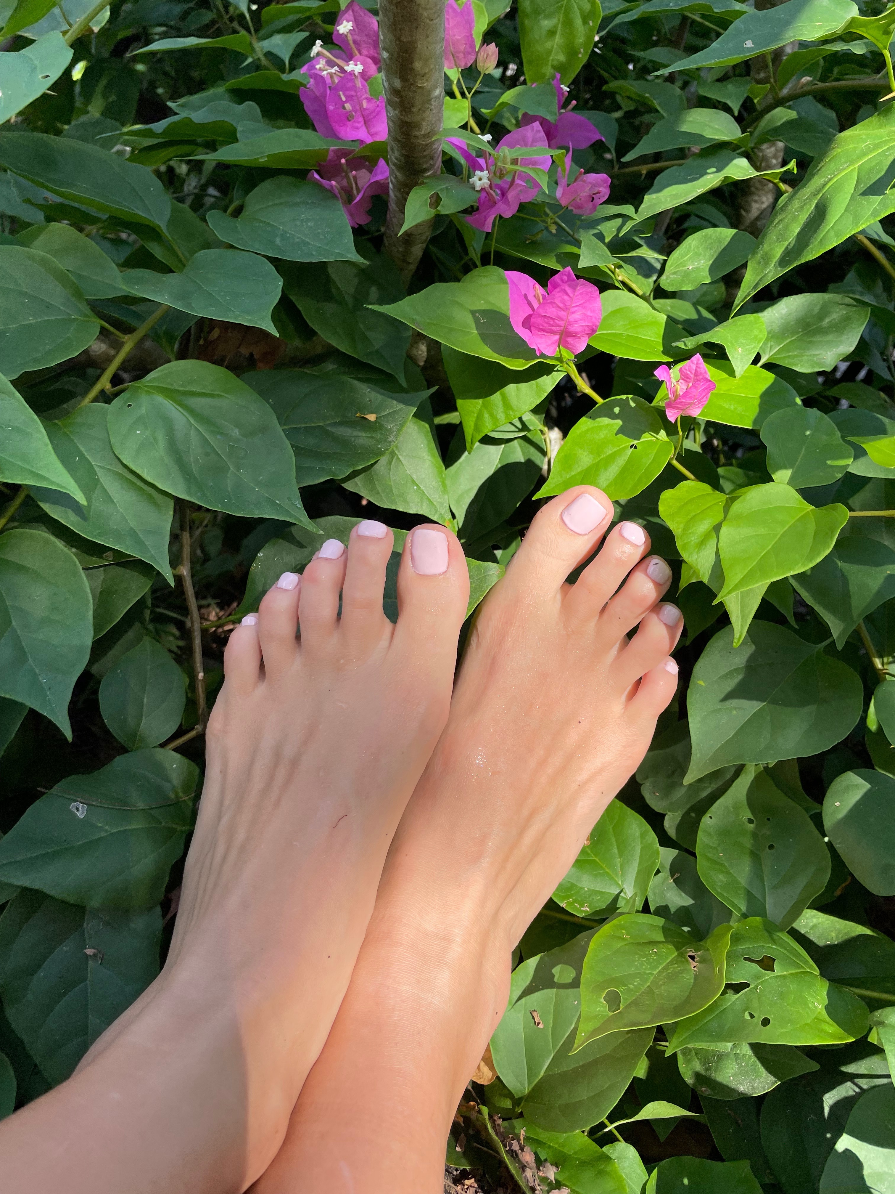 feetpicturesinparadise thumbnail