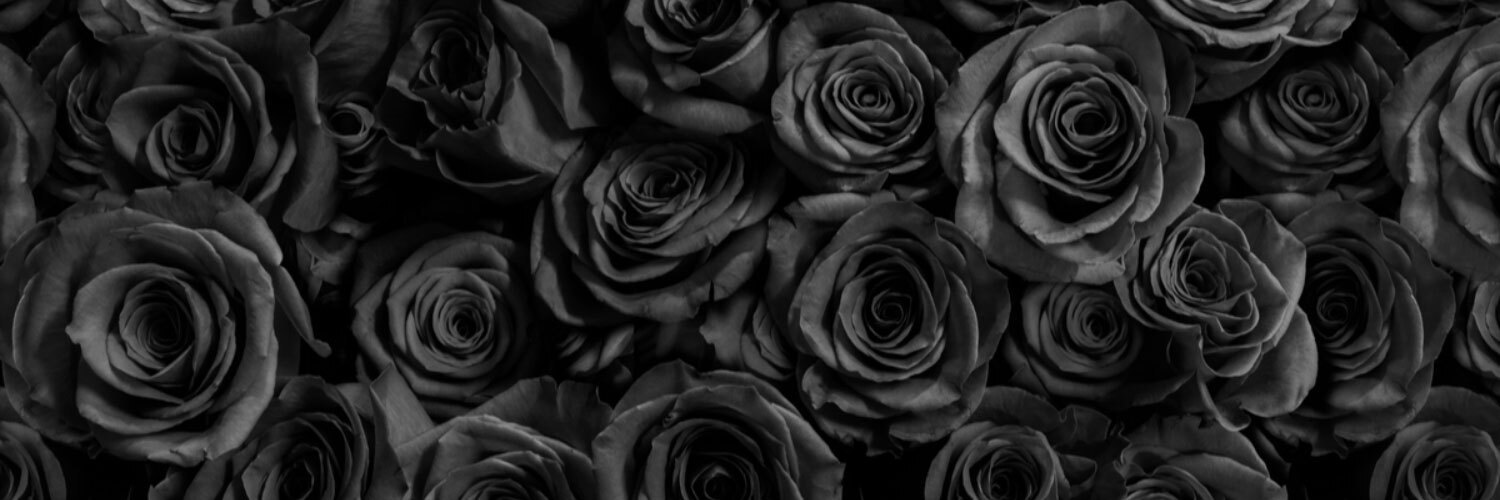 ava_black_rose thumbnail