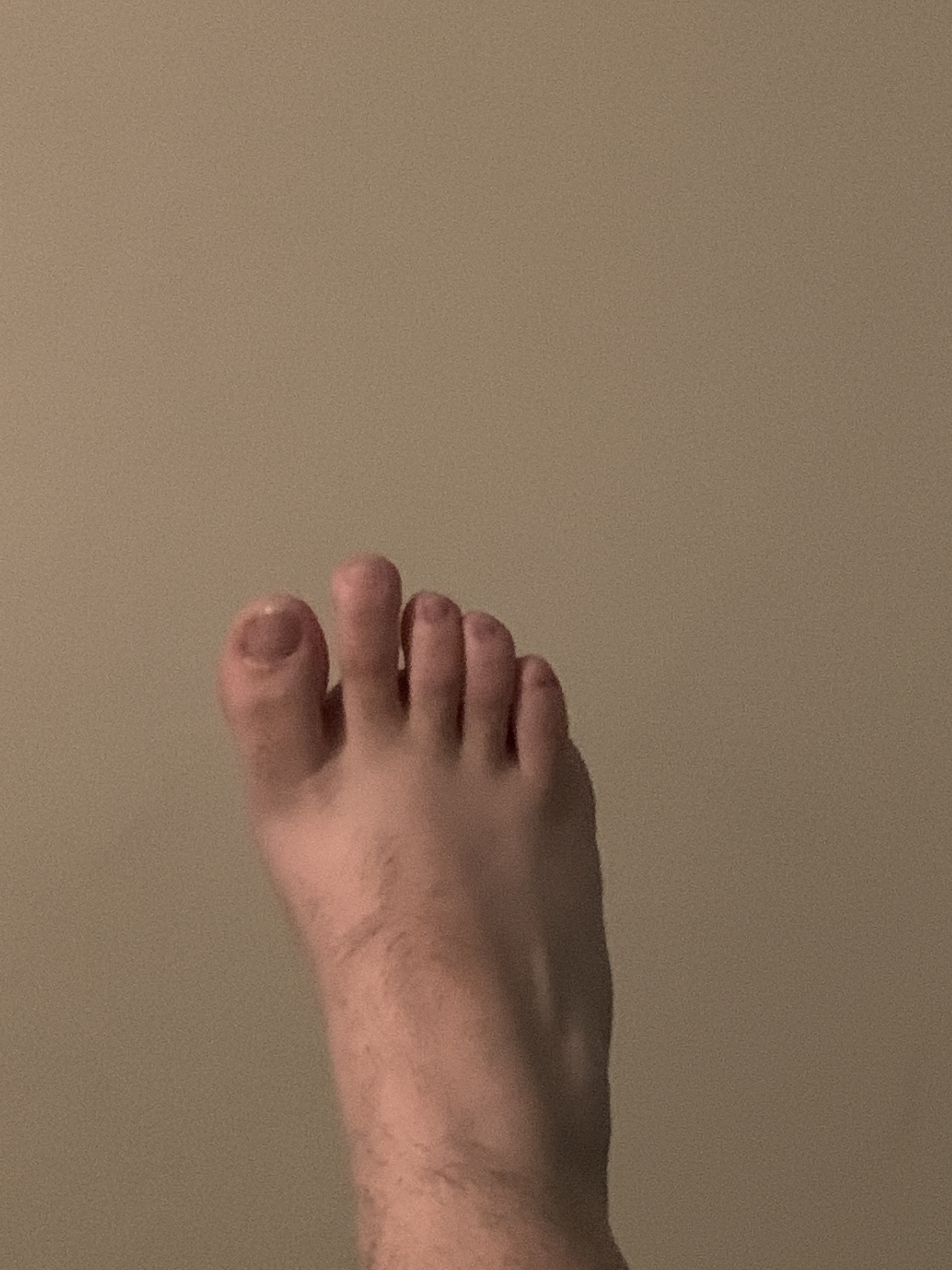 Foot Adventures profile