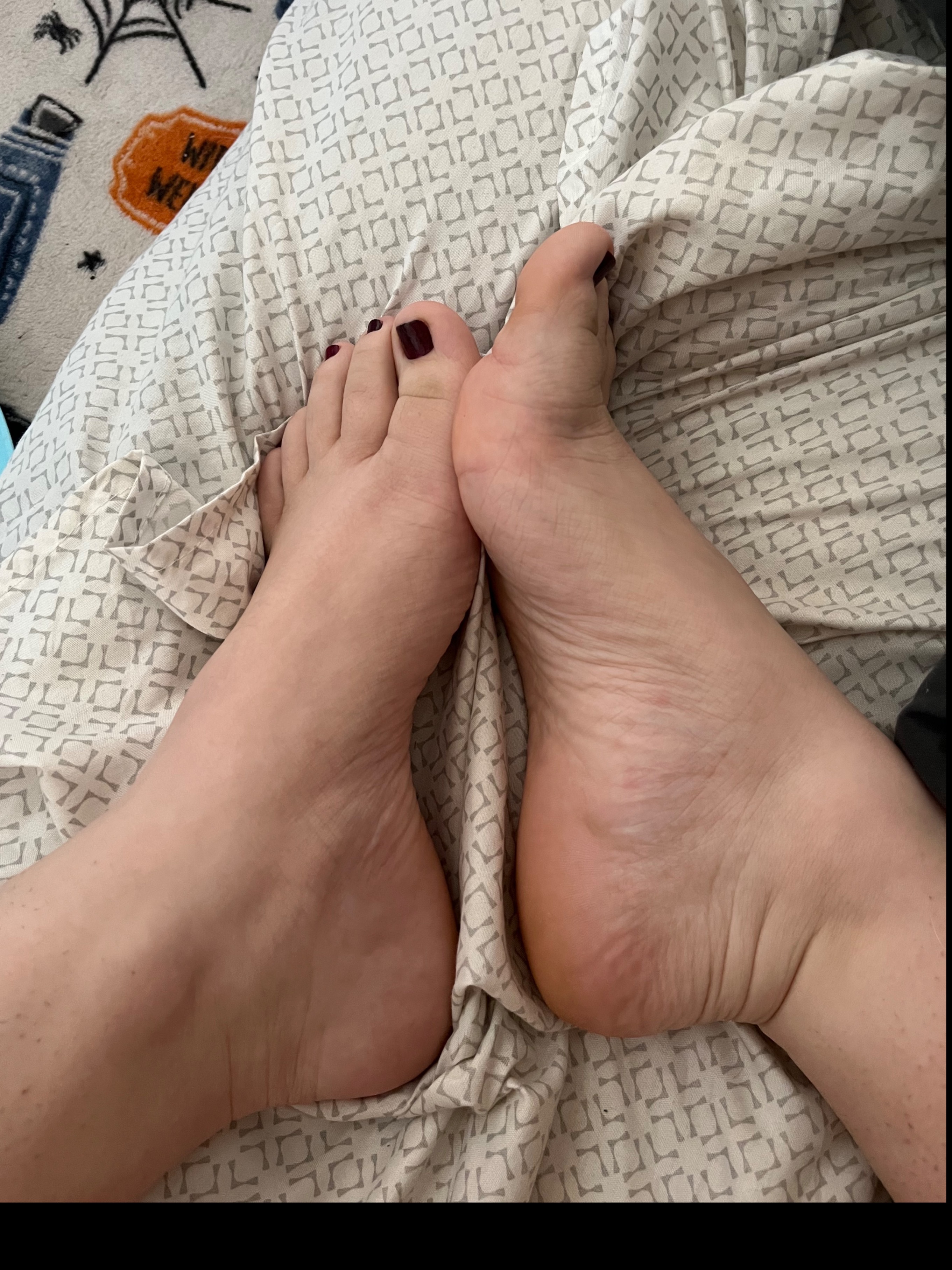 lexi.hasfeet profile