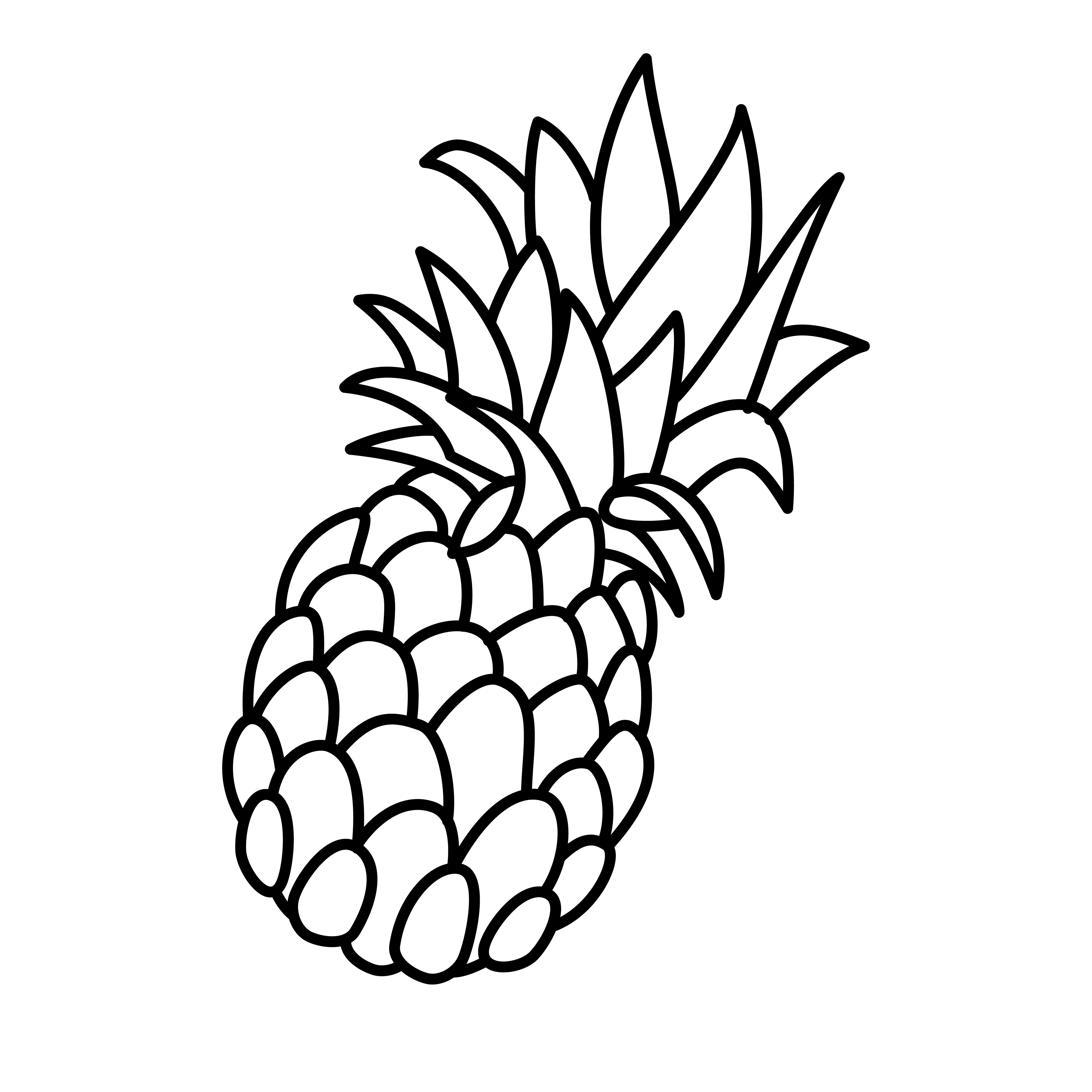 Pineapple T🍍 profile