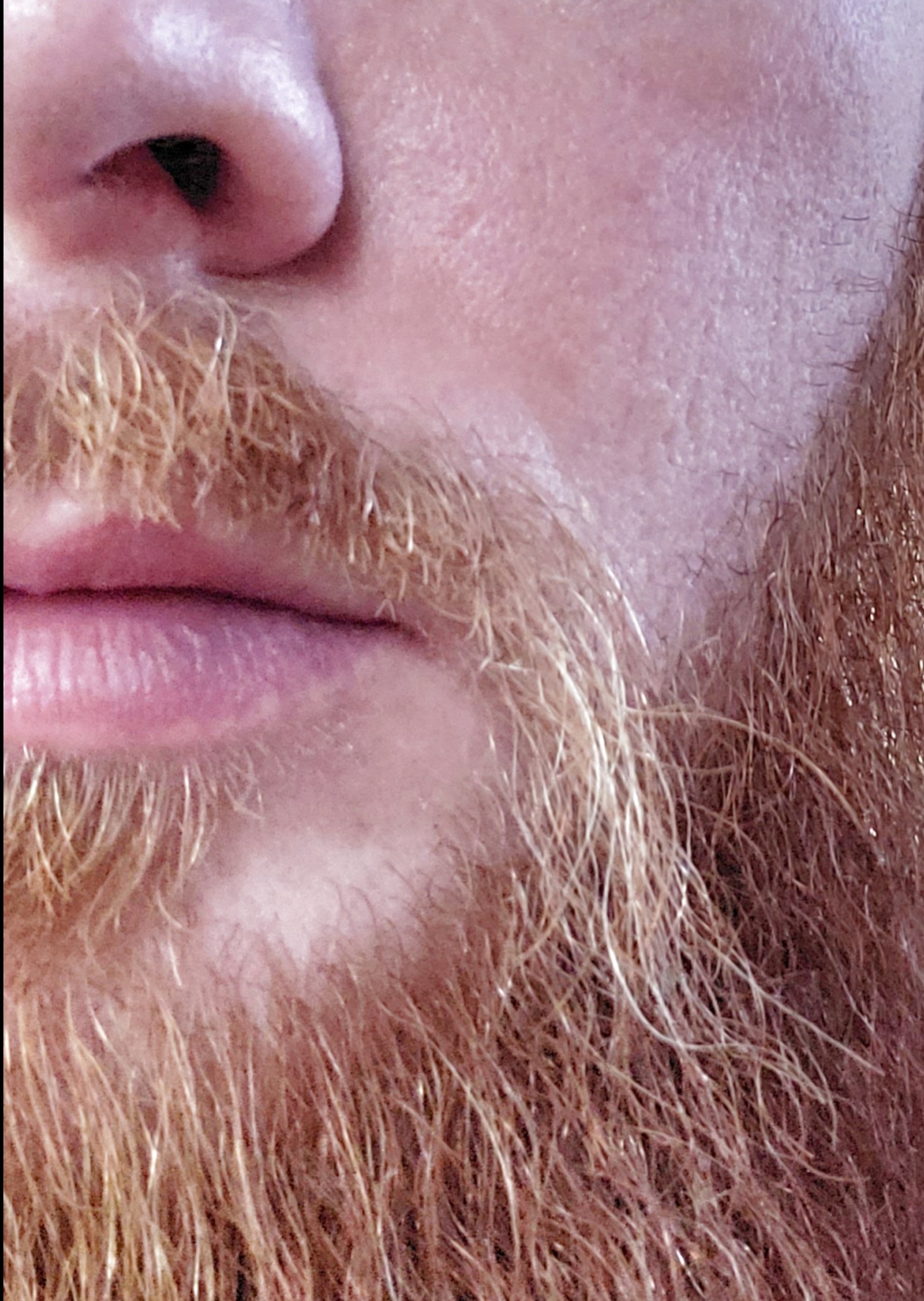 Impishginger profile