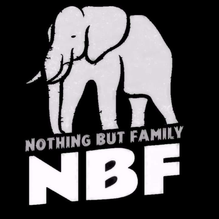 NBF profile