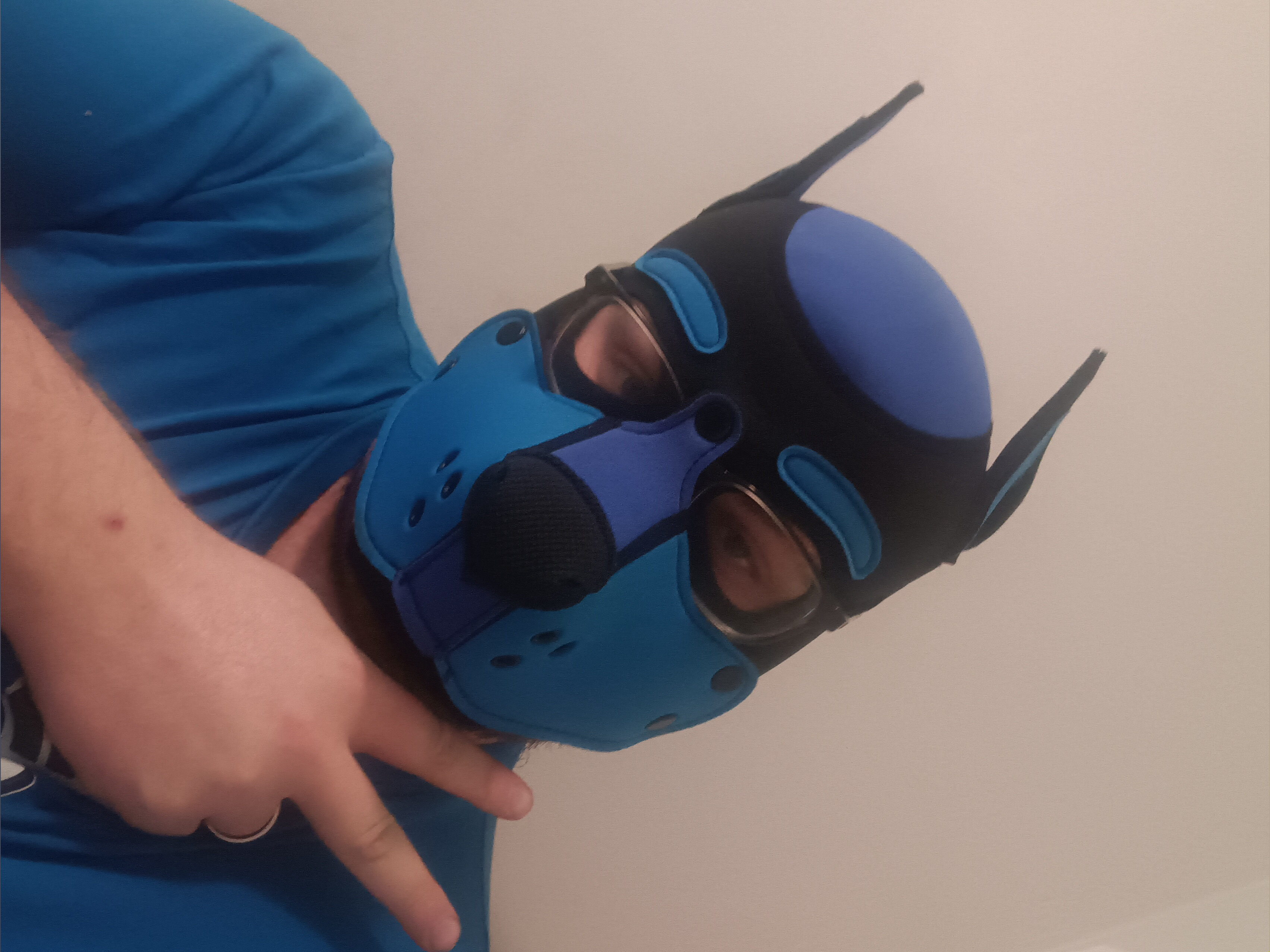 bluesexypup profile