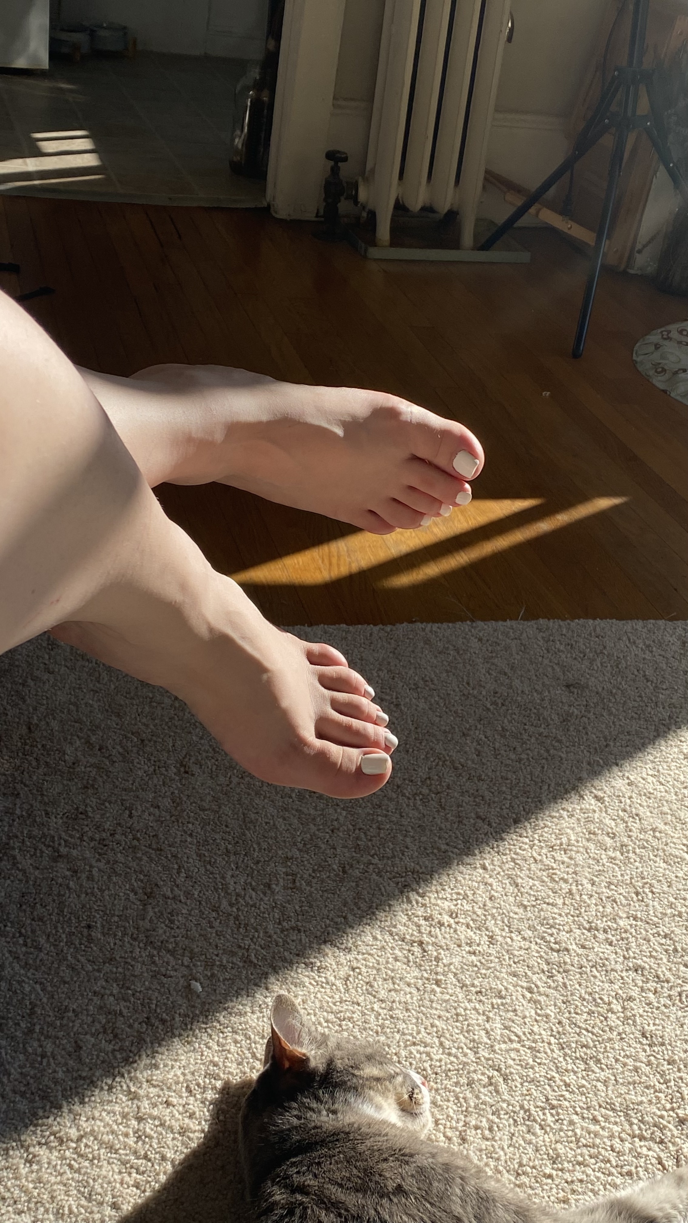 libra.feet profile