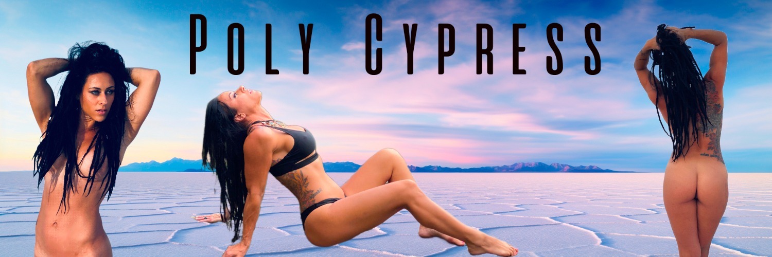 Poly Cypress thumbnail