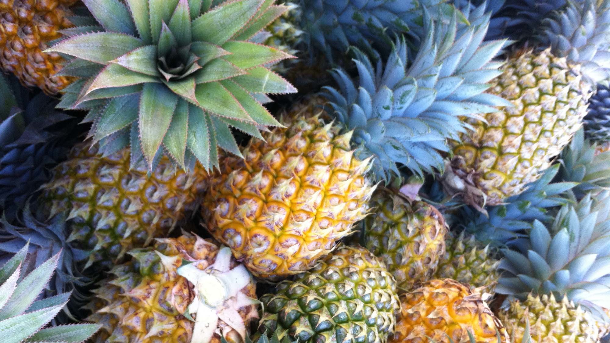 tiny_pineapples thumbnail