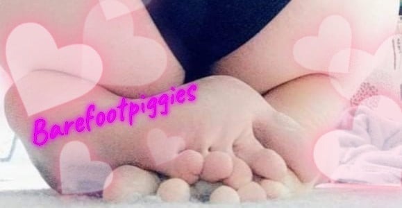 bfpiggies thumbnail