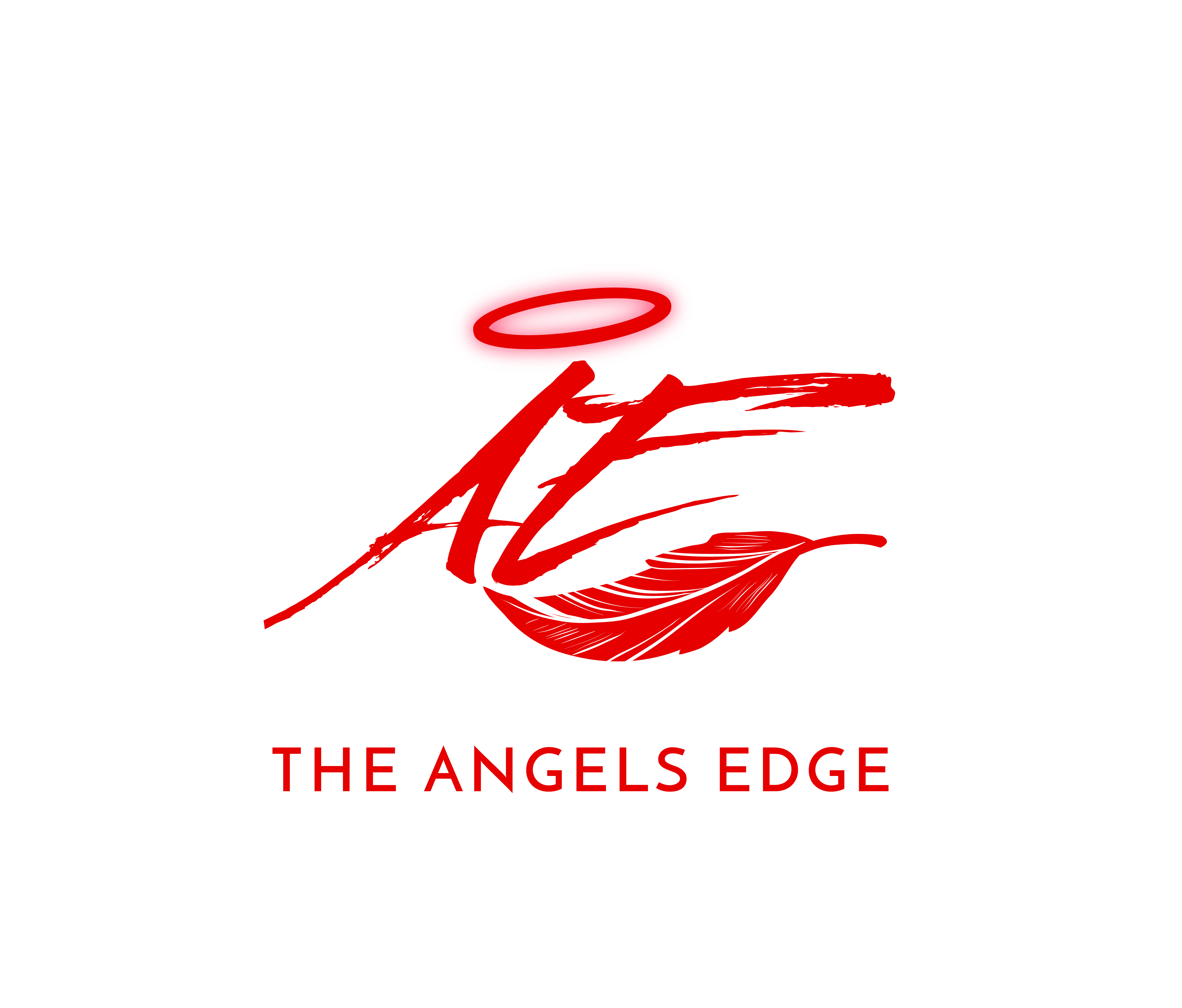 theangelsedgecover