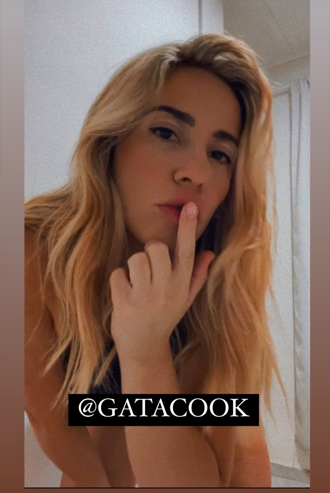 gatacookcover