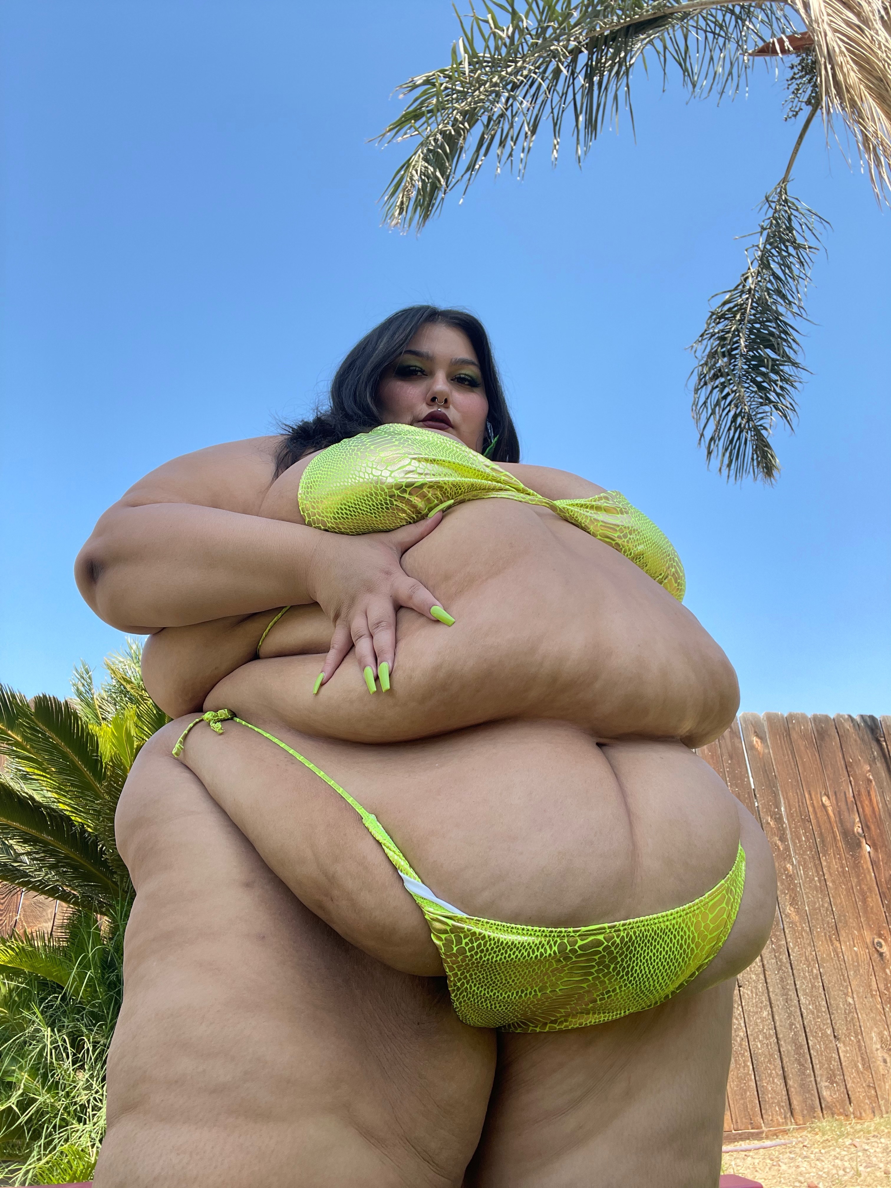 ssbbwleightoncover