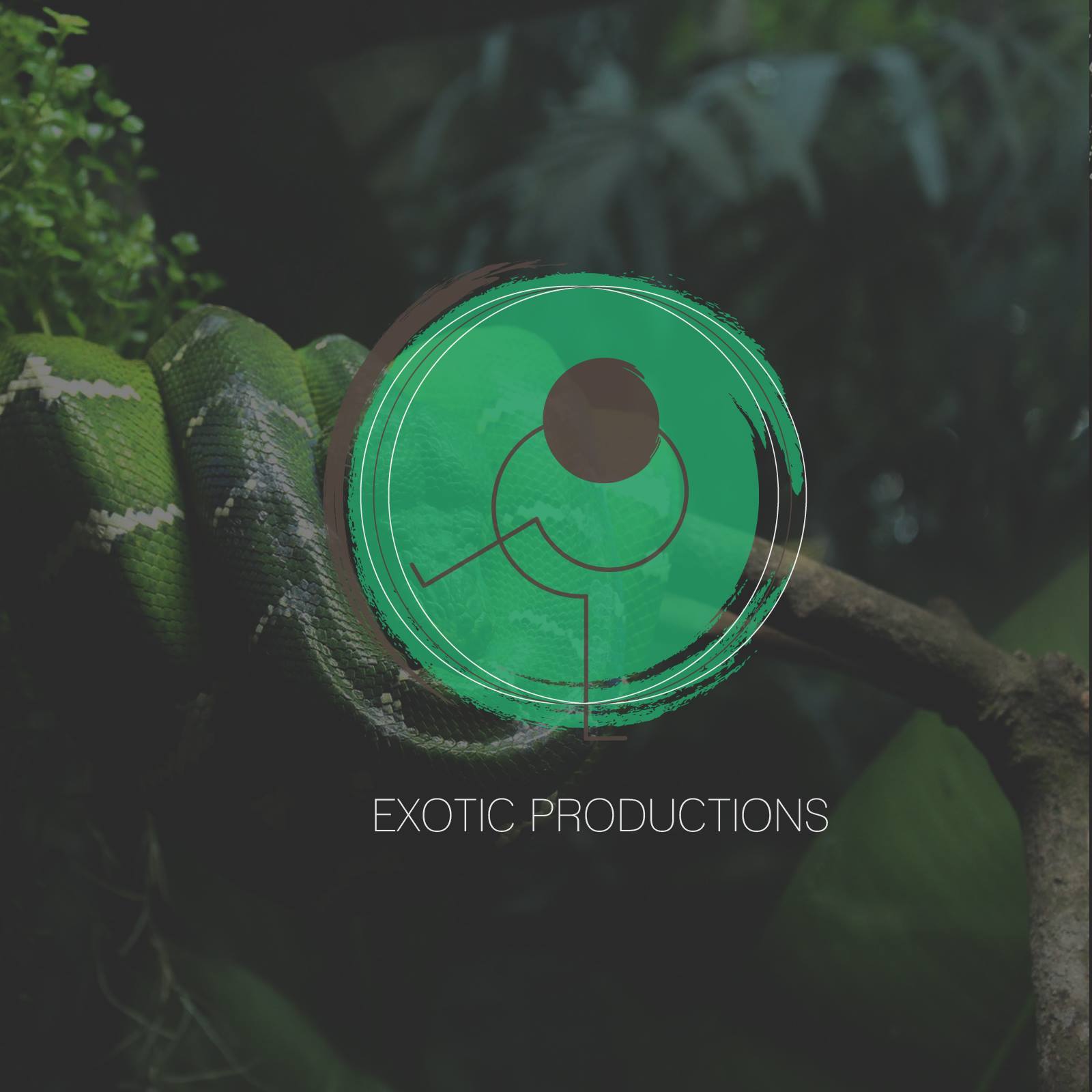 Exotic Productions profile