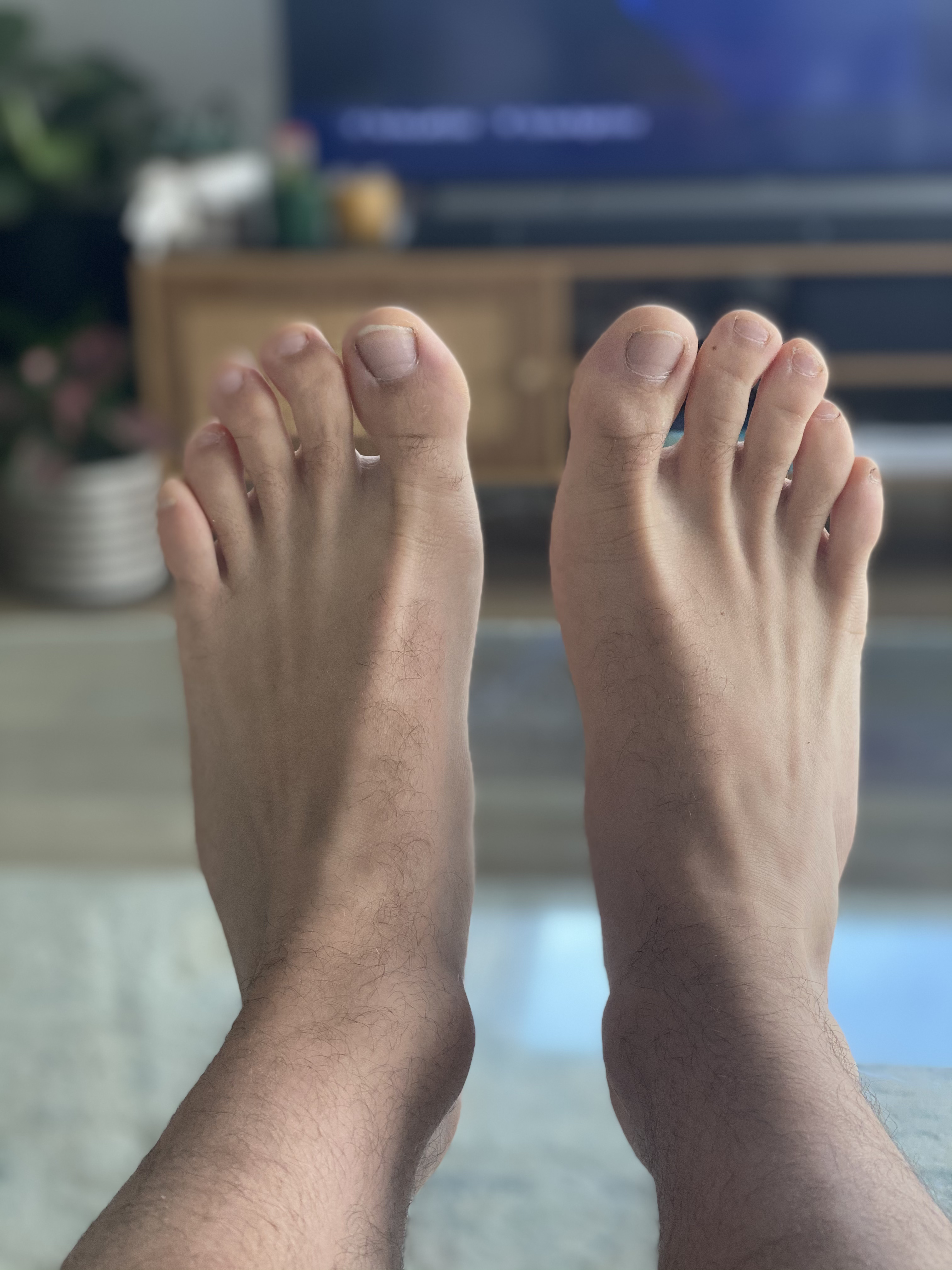 TradieFeet profile