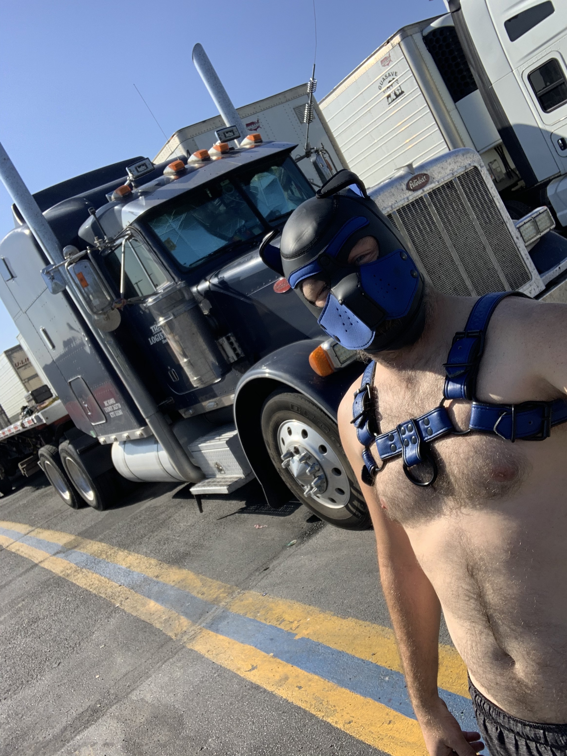 truckerpup profile