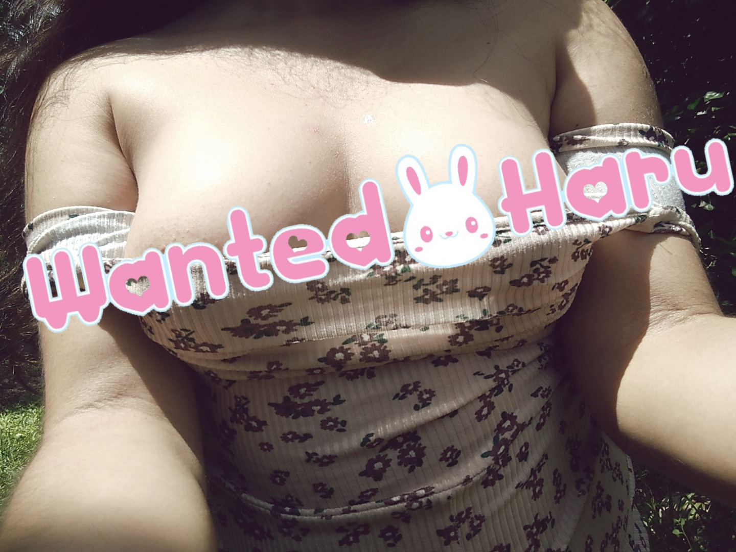 Wanted Haru thumbnail