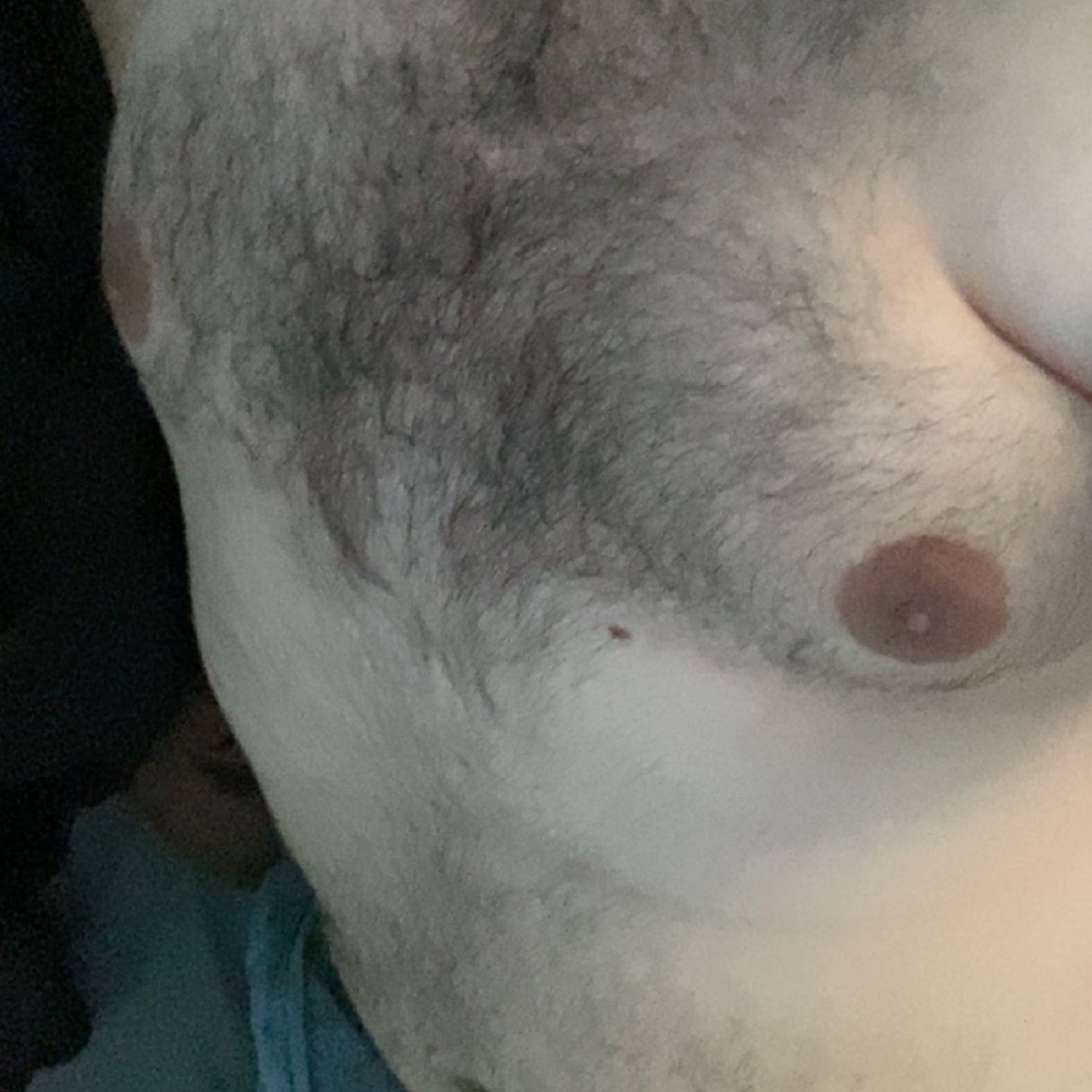 hairyjbear thumbnail