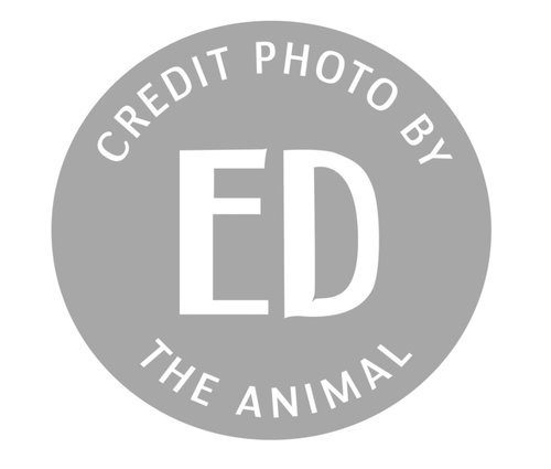 Ed The Animal profile