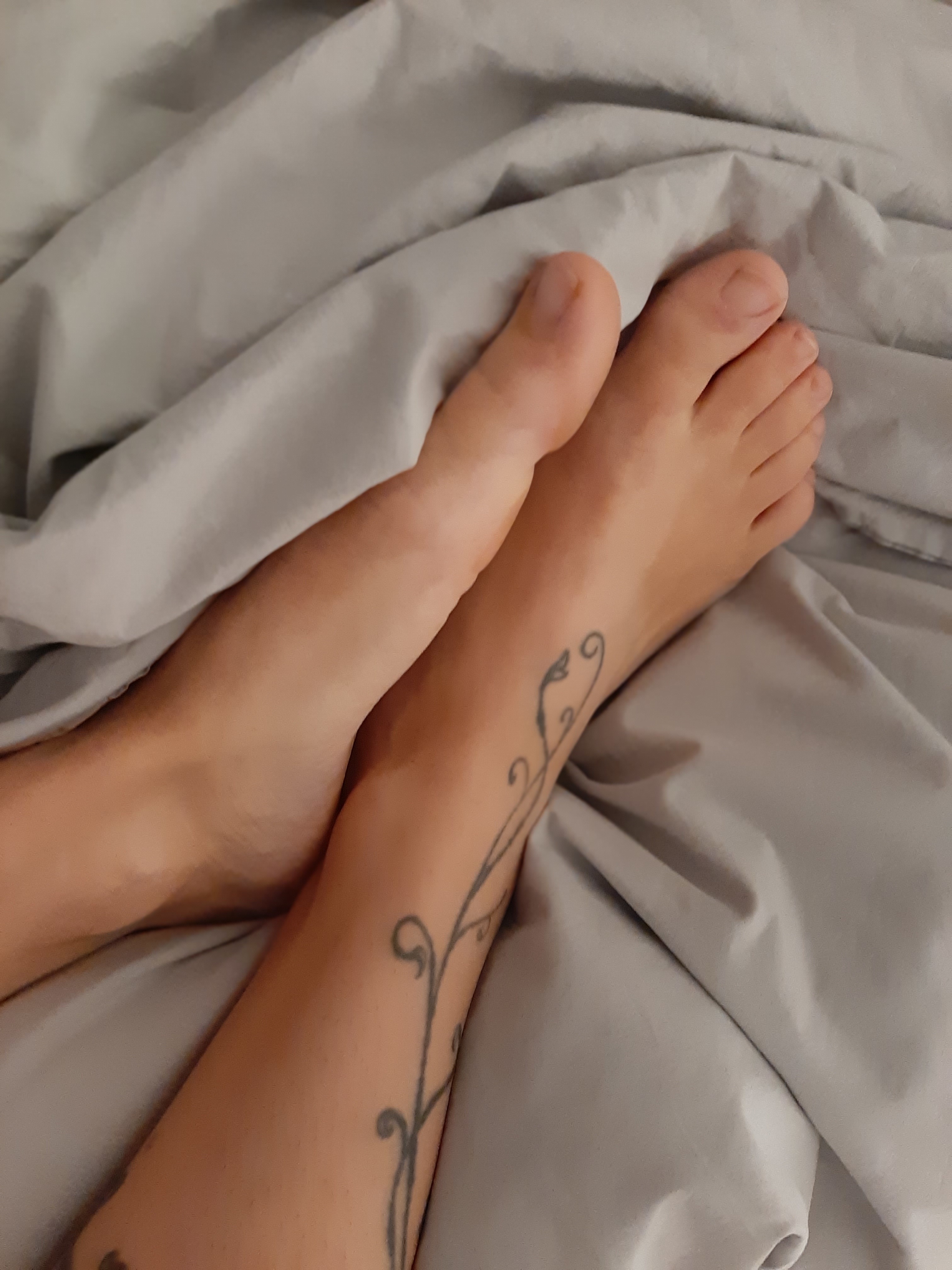 feetsoutforyou profile