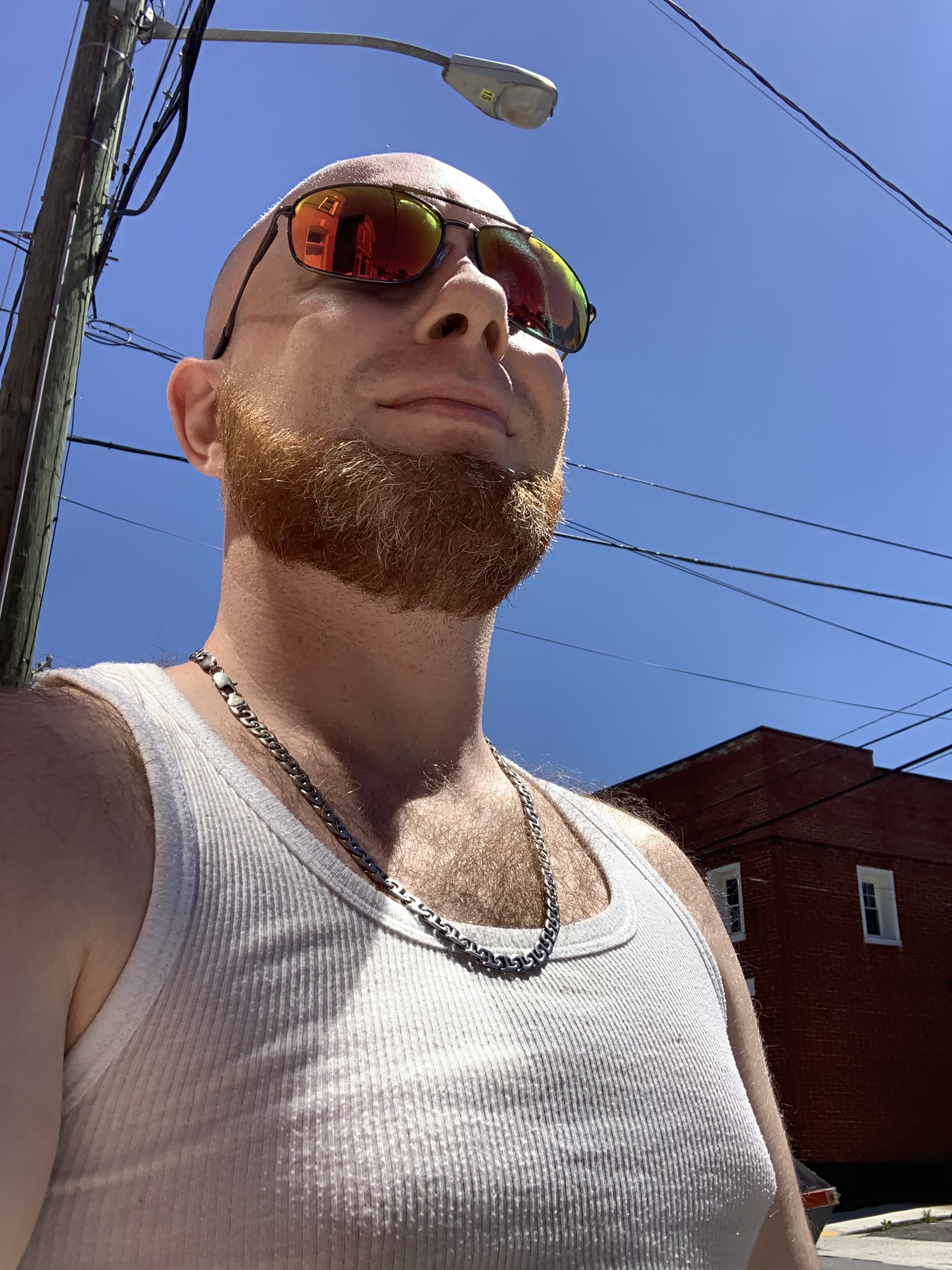 gingercashmaster profile