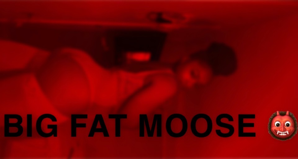 bigfatmoose thumbnail