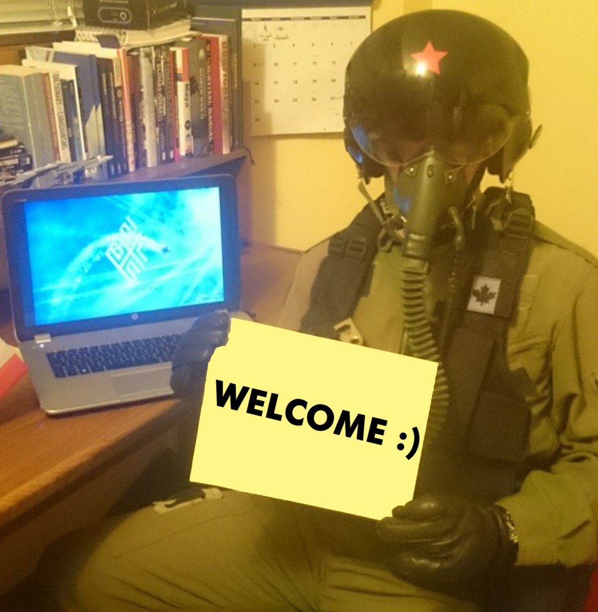 Ace Combat Fan profile