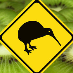 Kiwi profile