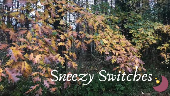 sneezyswitches thumbnail