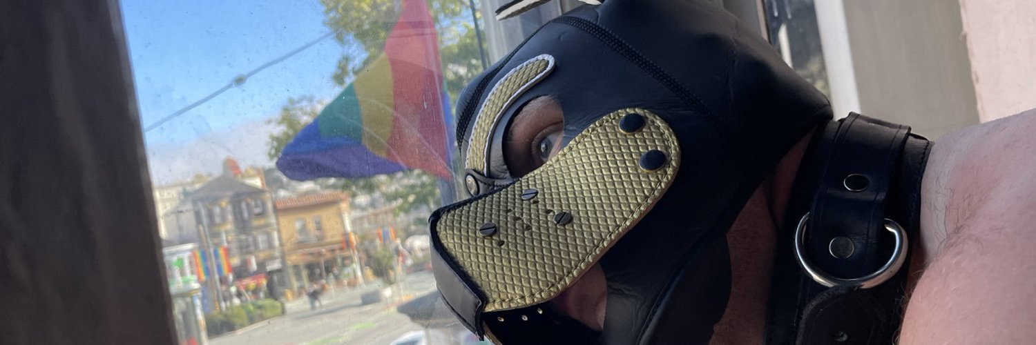 leatherpaladin thumbnail