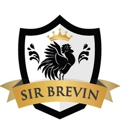 SirBrevin profile