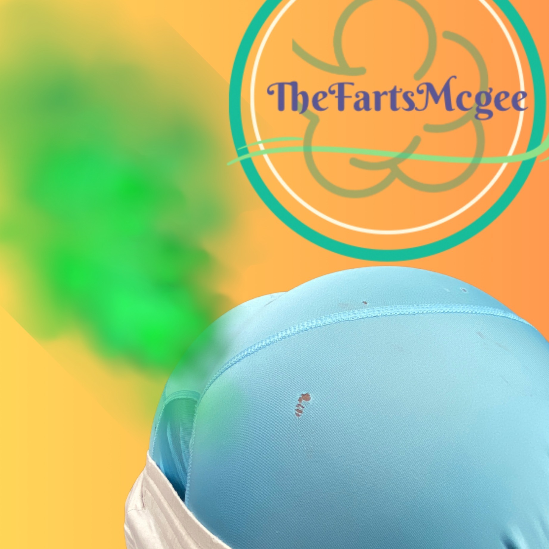 thefartsmcgee1cover