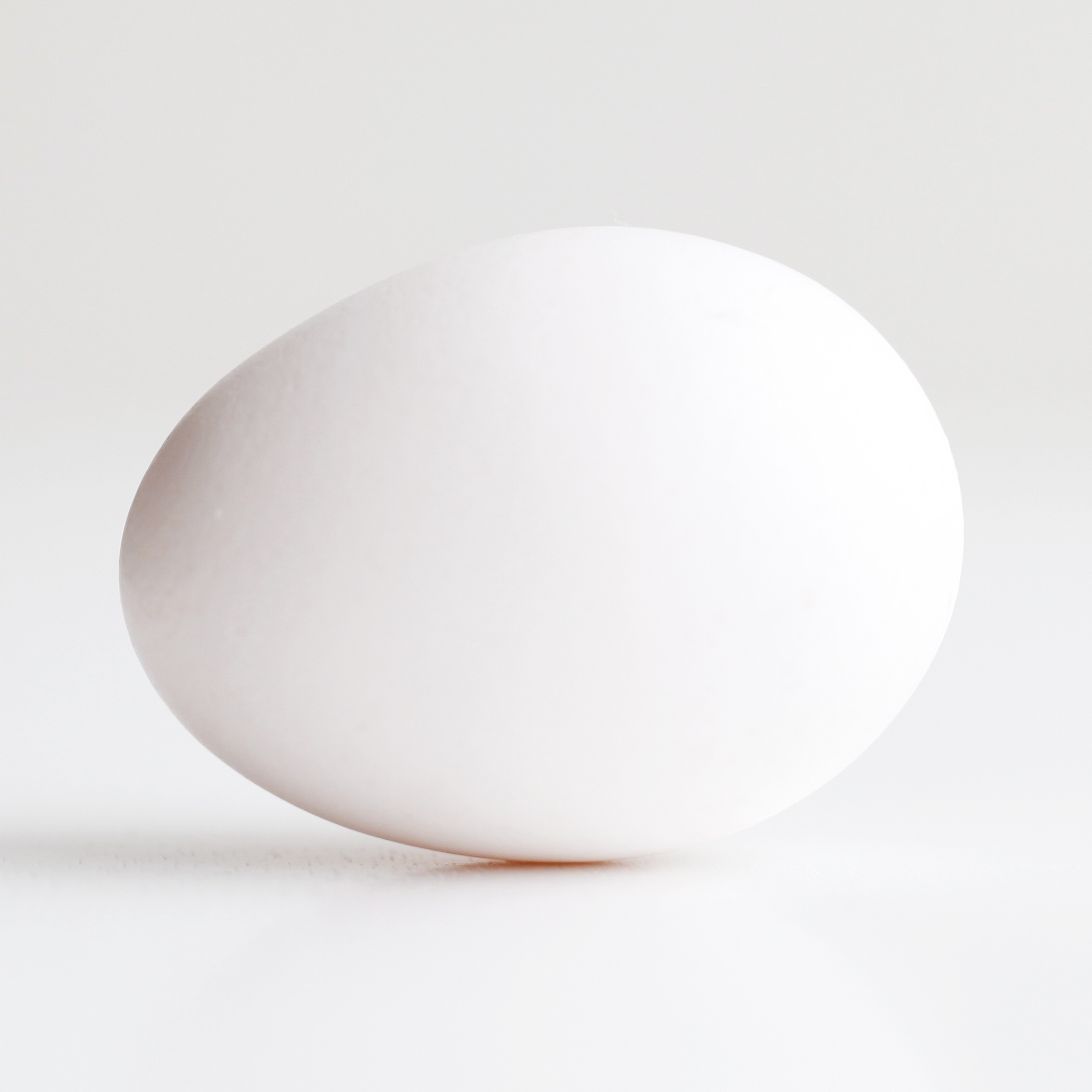 An Egg profile