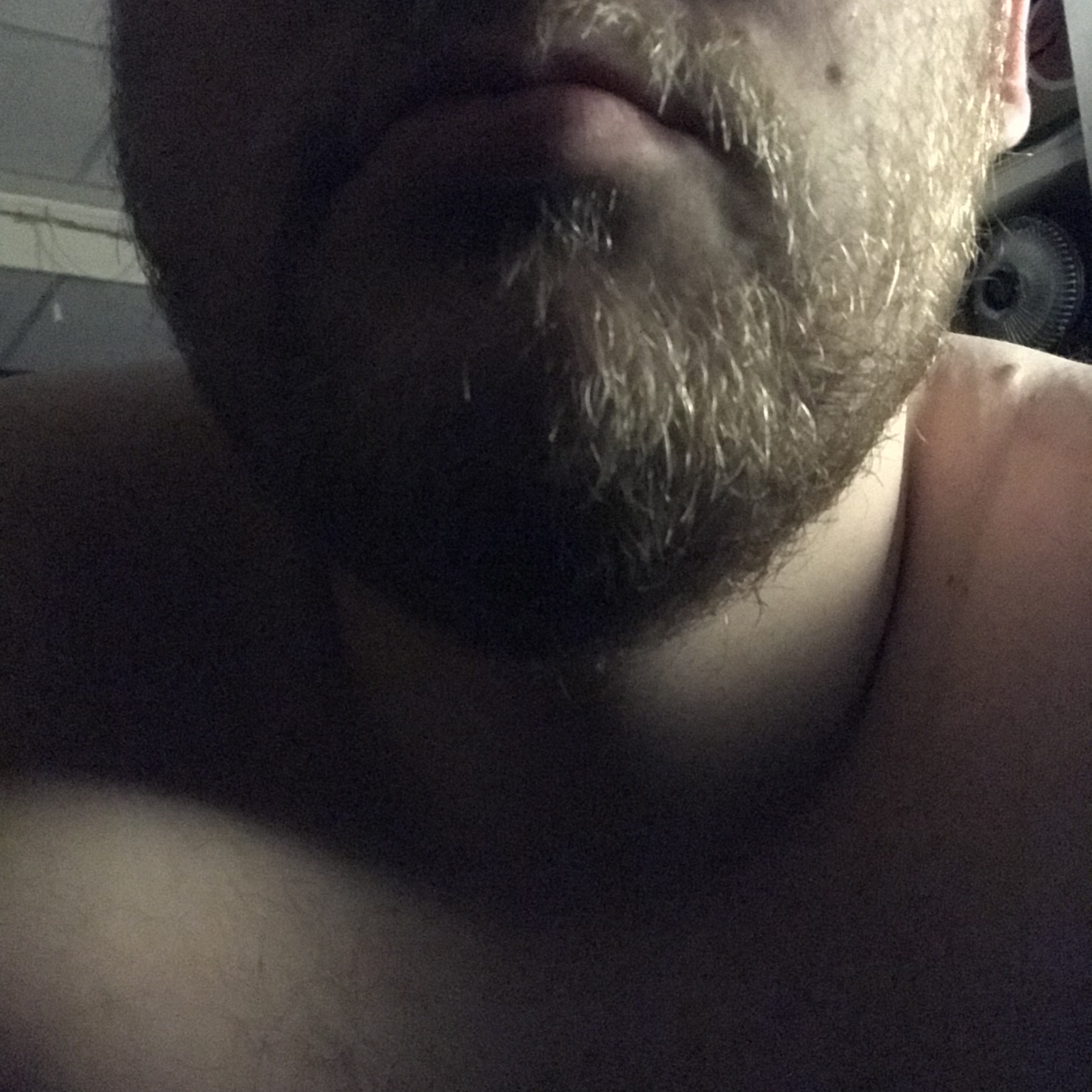 andesgaychub profile