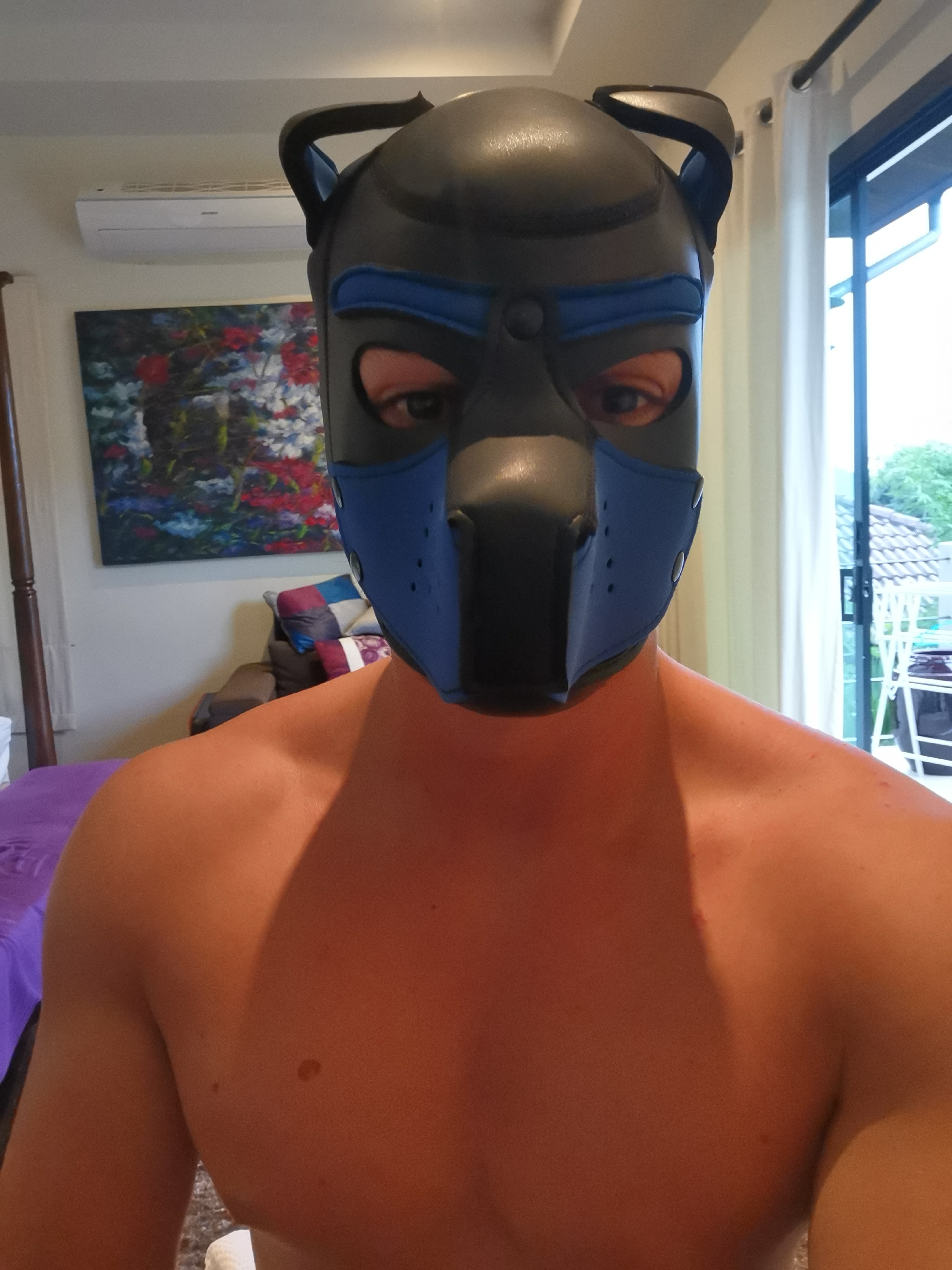 Dogman profile