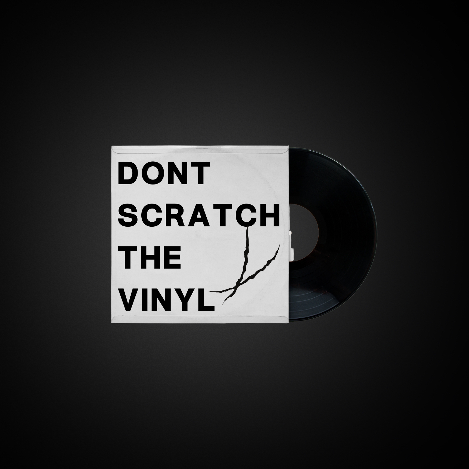 dontscratchthevinylcover