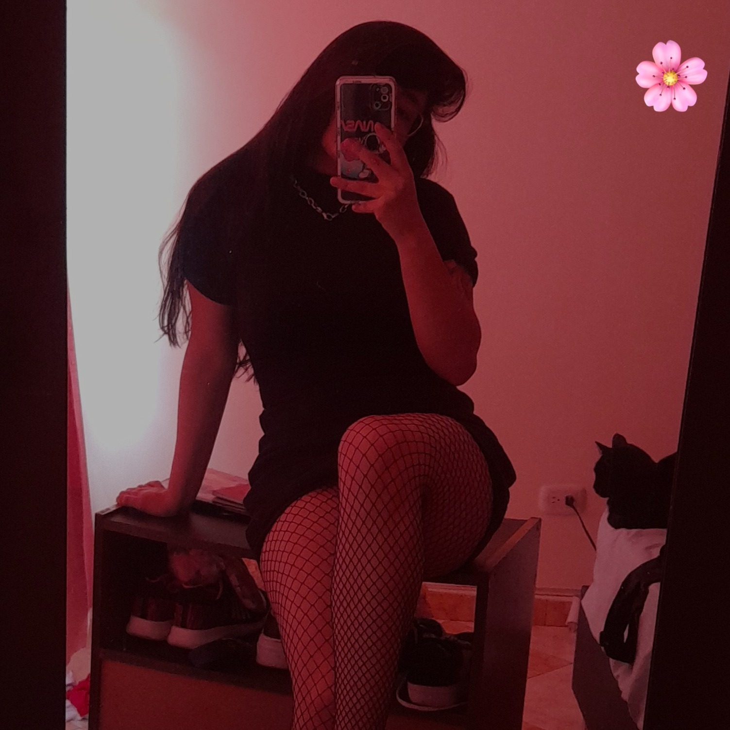 🌹𝕬𝖑𝖊𝖝𝖆𝖓𝖉𝖗𝖆 𝕿𝖔𝖗𝖗𝖊𝖘🌹 profile