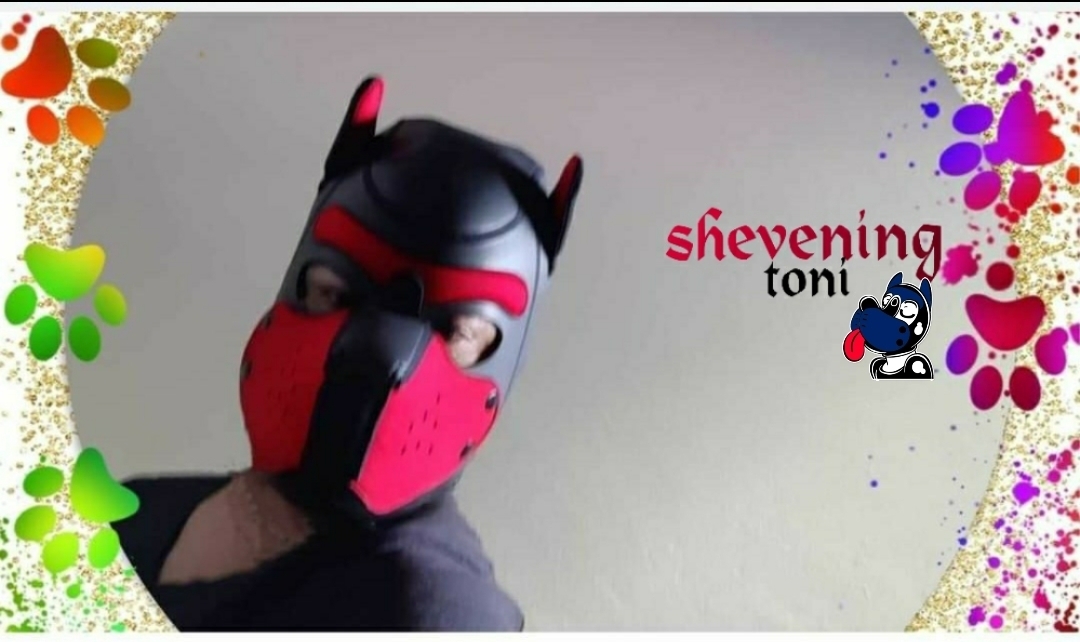 pup_shevening thumbnail