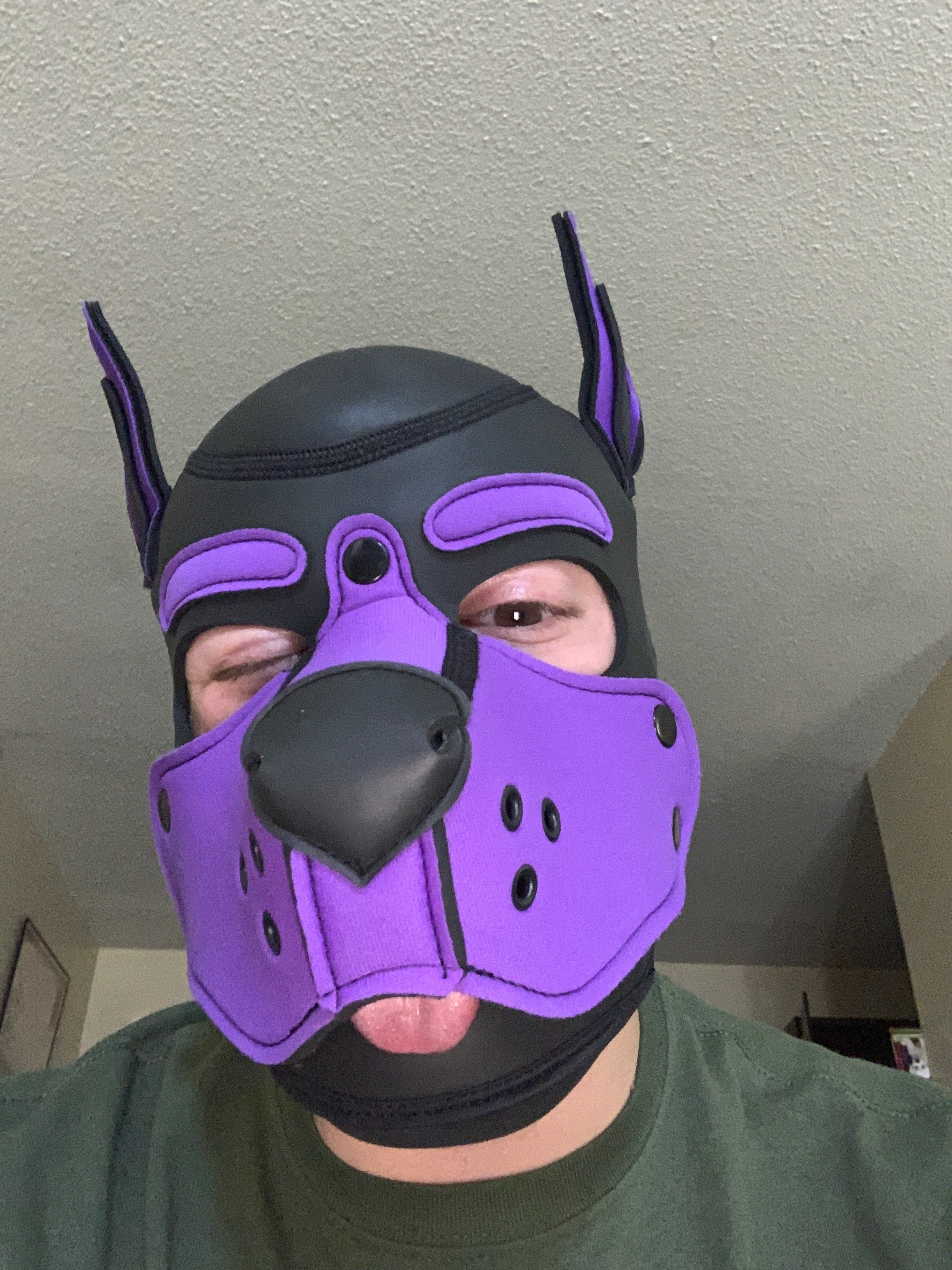 Pup Drako profile