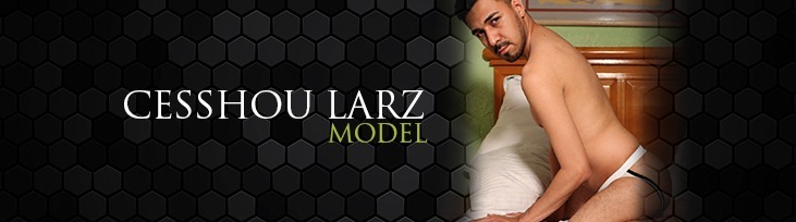 Cesshou Larz Model thumbnail